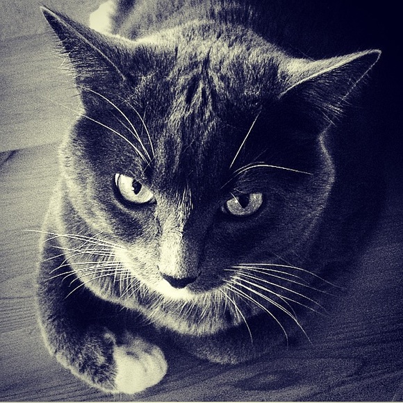 Meet your Posher, Donna,Recovering Shoe addict π - Picture 2 of 4